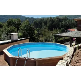 Zehneckig Naturalis Pool 493x472 cm