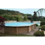 Ovalen Naturalis Pool 787x472 cm