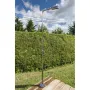 Angel Dusche Edelstahl Poliert Gre DAI43