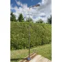 Angel Dusche mit Fußhahn Edelstahl Poliert Gre DAI43F