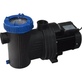Wasserpumpe 17 m3/h Toi 4912
