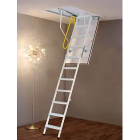Ausziehbare Leiter EM 3 ISO