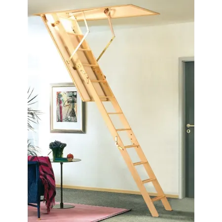 Ausziehbare Leiter Cadet 3 ISO