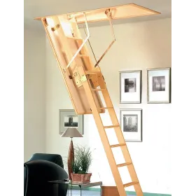 Ausziehbare Leiter Cadet 2 ISO