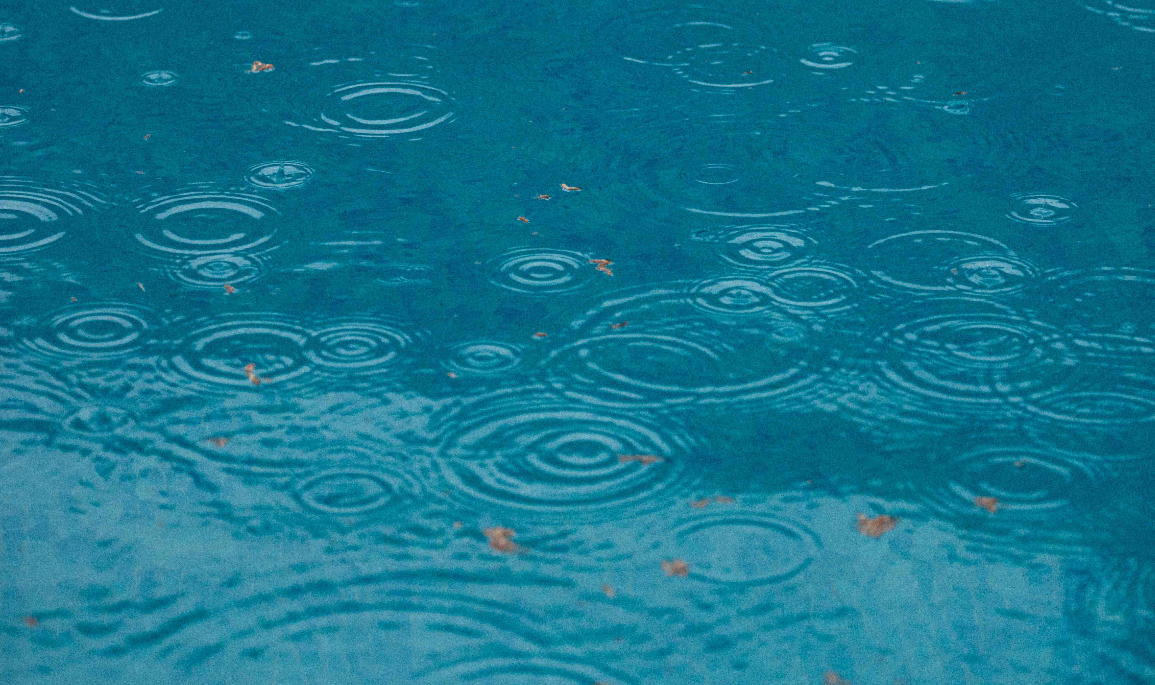 Wie schützt man seinen Pool vor Regen?