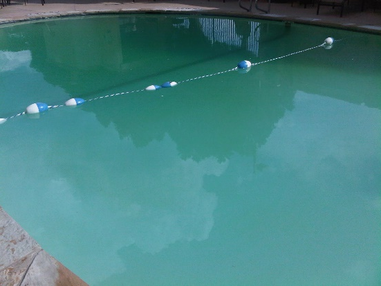 Das Wasser in meinem Pool ist verschmutzt. Was soll ich tun?